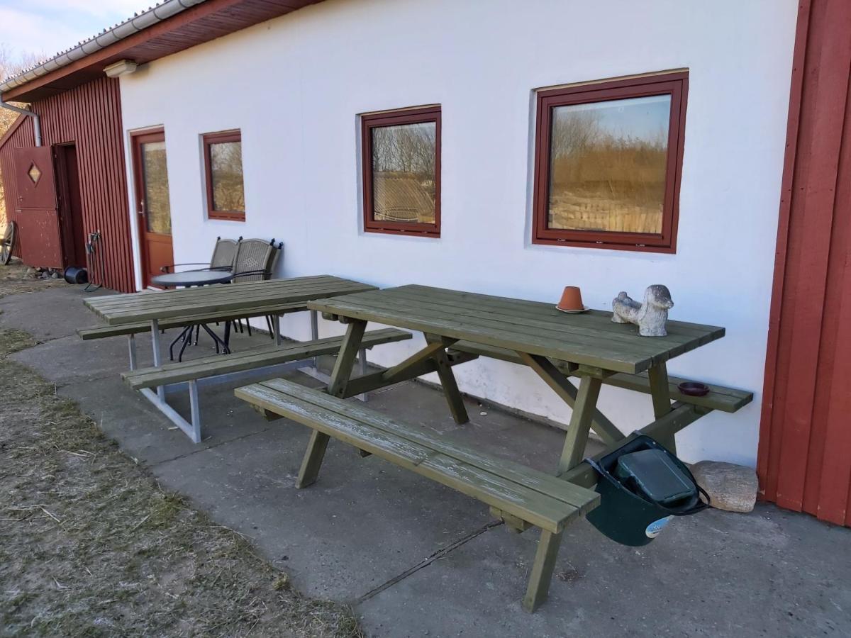 Aparthotel Klitgaarden Hjørring Exteriér fotografie